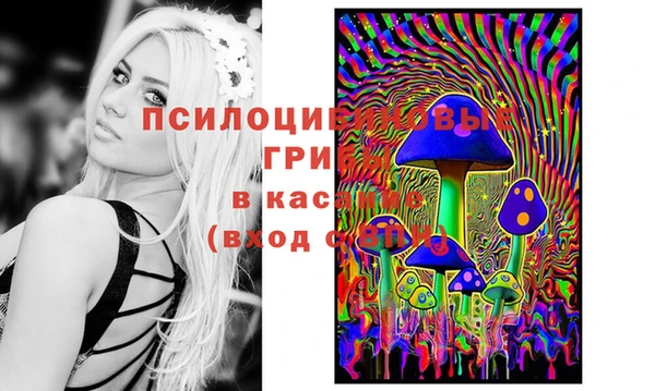 MDMA Premium VHQ Аркадак