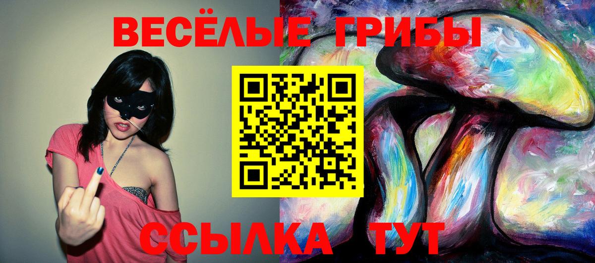 Галлюциногенные грибы Magic Shrooms Мытищи