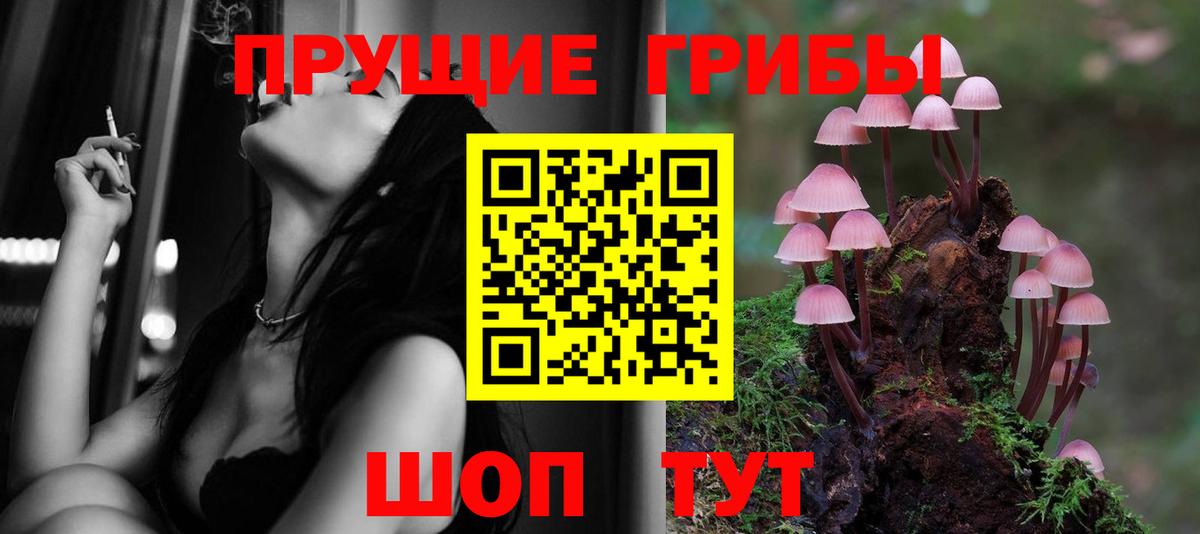 где продают   Псилоцибиновые грибы MAGIC MUSHROOMS  Мытищи  Вход с VPN  Псилоцибиновые грибы Magic Shrooms 